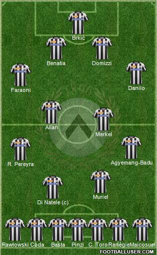 Udinese Formation 2013