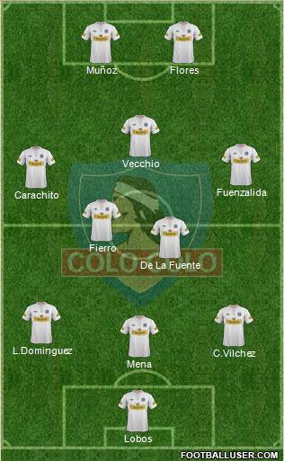 CSD Colo Colo Formation 2013