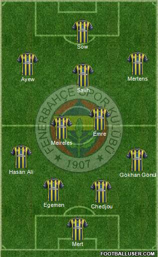 Fenerbahçe SK Formation 2013
