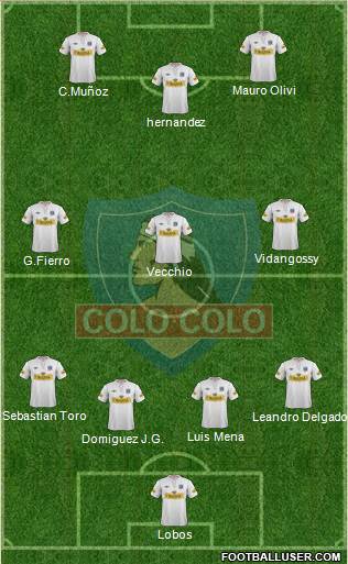 CSD Colo Colo Formation 2013