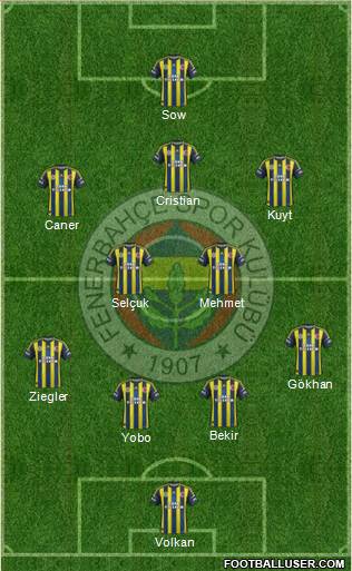 Fenerbahçe SK Formation 2013