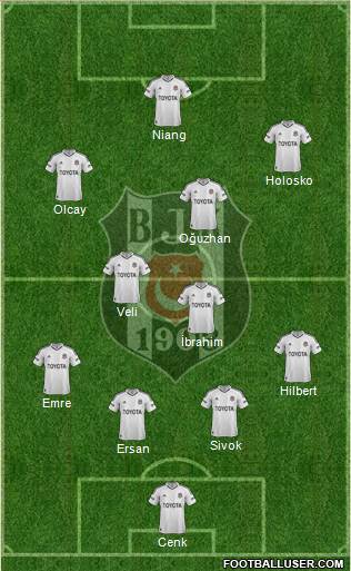 Besiktas JK Formation 2013