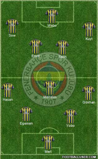 Fenerbahçe SK Formation 2013