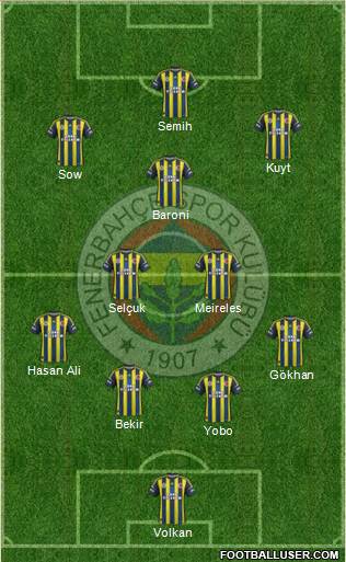 Fenerbahçe SK Formation 2013