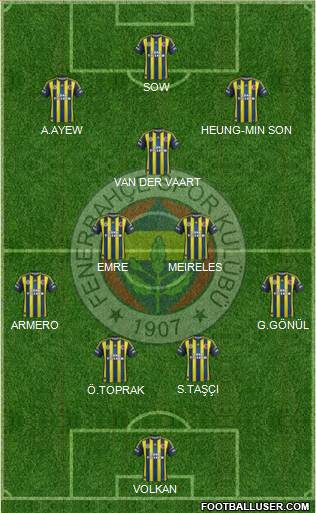 Fenerbahçe SK Formation 2013
