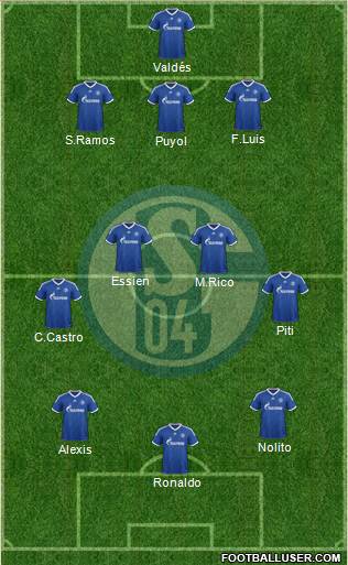 FC Schalke 04 Formation 2013