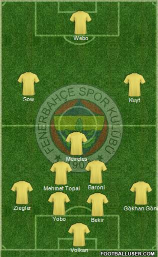 Fenerbahçe SK Formation 2013