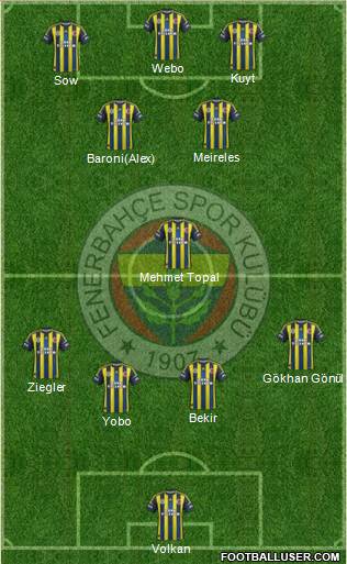 Fenerbahçe SK Formation 2013