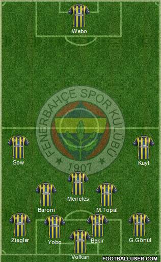 Fenerbahçe SK Formation 2013