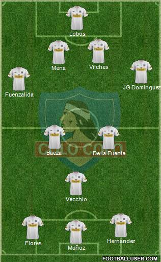 CSD Colo Colo Formation 2013