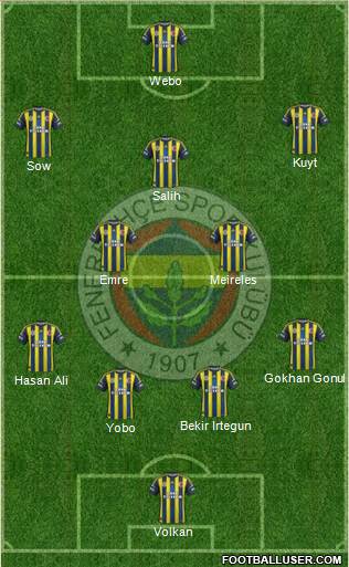 Fenerbahçe SK Formation 2013