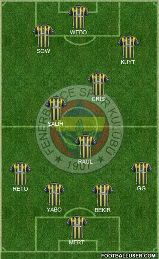 Fenerbahçe SK Formation 2013