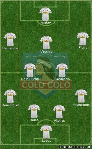 CSD Colo Colo Formation 2013