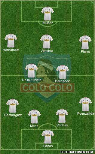 CSD Colo Colo Formation 2013