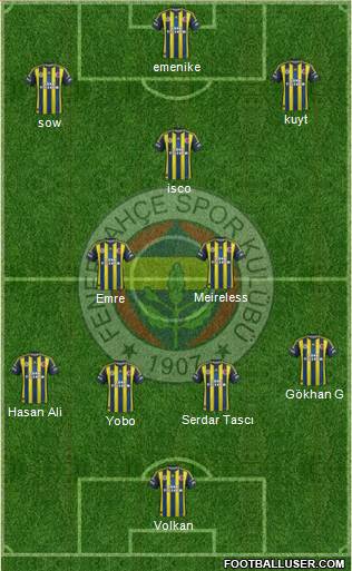 Fenerbahçe SK Formation 2013