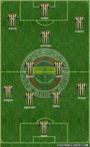 Fenerbahçe SK Formation 2013