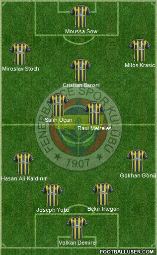 Fenerbahçe SK Formation 2013