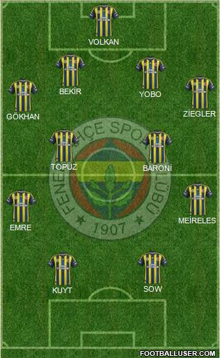 Fenerbahçe SK Formation 2013
