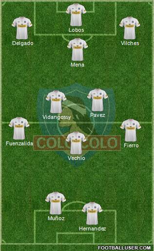CSD Colo Colo Formation 2013