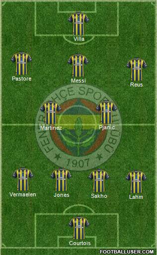 Fenerbahçe SK Formation 2013