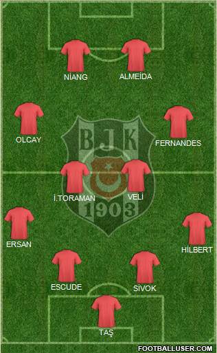 Besiktas JK Formation 2013