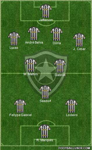Botafogo FR Formation 2013