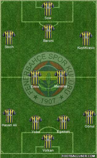 Fenerbahçe SK Formation 2013