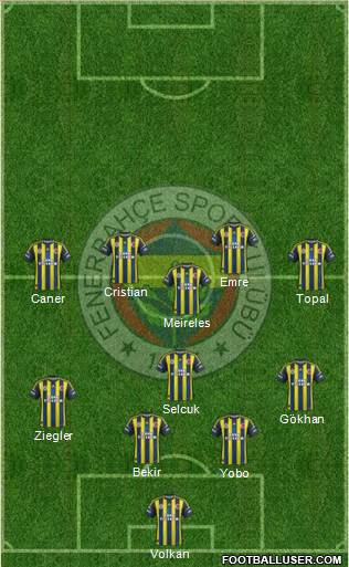 Fenerbahçe SK Formation 2013
