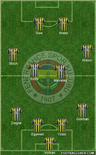 Fenerbahçe SK Formation 2013
