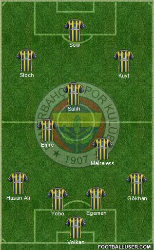 Fenerbahçe SK Formation 2013
