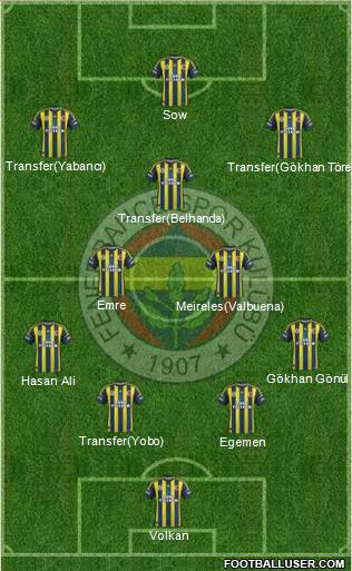 Fenerbahçe SK Formation 2013