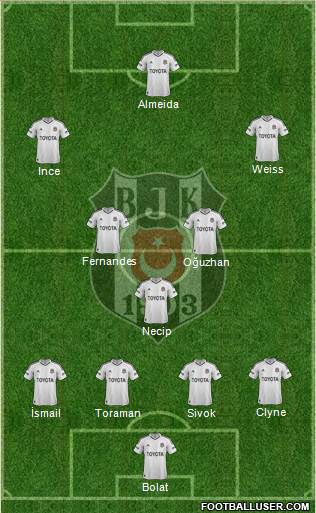 Besiktas JK Formation 2013