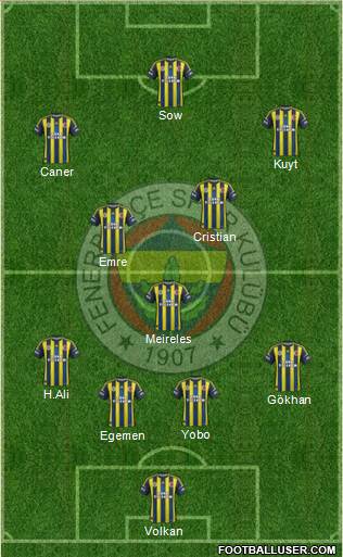 Fenerbahçe SK Formation 2013