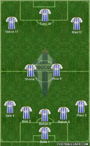 FK Buducnost Podgorica Formation 2013