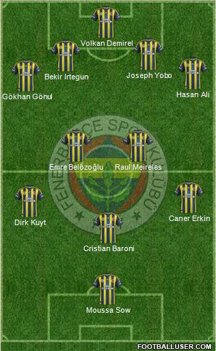 Fenerbahçe SK Formation 2013