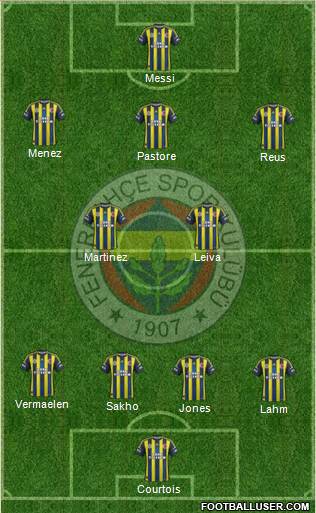 Fenerbahçe SK Formation 2013