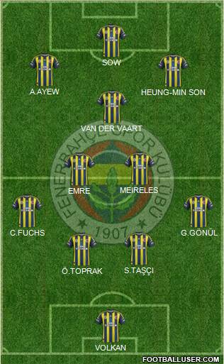 Fenerbahçe SK Formation 2013