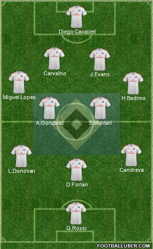 Hamburger SV Formation 2013