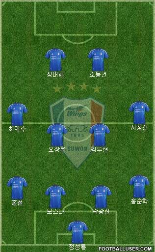 Suwon Samsung Blue Wings Formation 2013