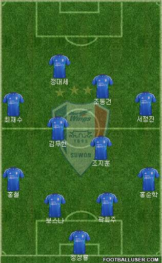 Suwon Samsung Blue Wings Formation 2013