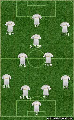 Swansea City Formation 2013