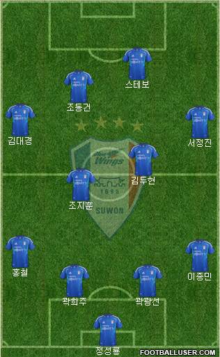 Suwon Samsung Blue Wings Formation 2013