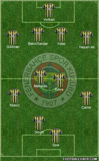 Fenerbahçe SK Formation 2013