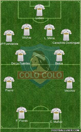 CSD Colo Colo Formation 2013