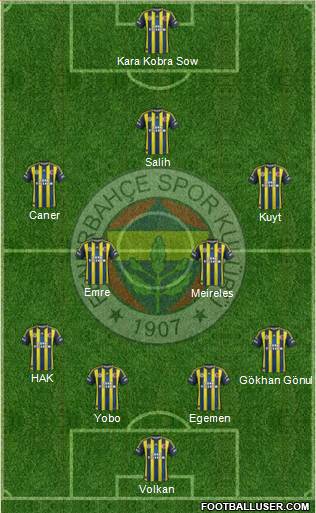 Fenerbahçe SK Formation 2013