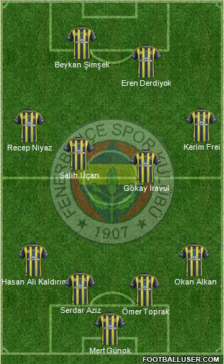 Fenerbahçe SK Formation 2013