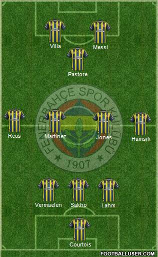 Fenerbahçe SK Formation 2013
