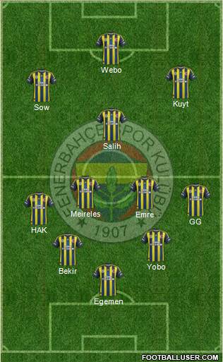 Fenerbahçe SK Formation 2013