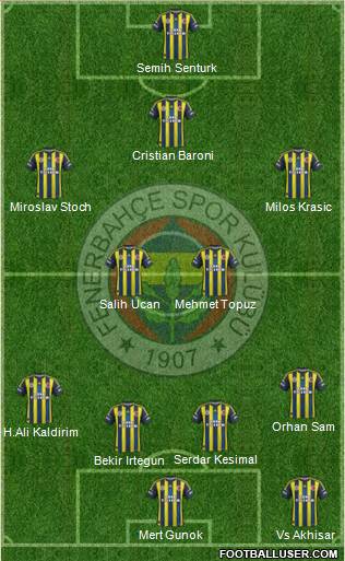 Fenerbahçe SK Formation 2013
