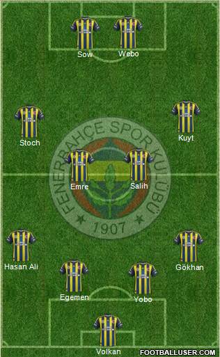 Fenerbahçe SK Formation 2013